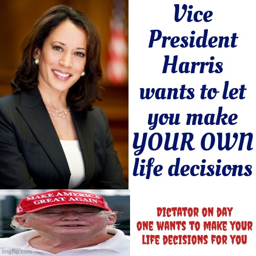 That's The Difference Between Democrats And Republicans | Vice President Harris wants to let you make YOUR OWN life decisions; Dictator on day one wants to make your life decisions for you | image tagged in memes,drake hotline bling,kamala harris,president kamala harris,donald trump is a convicted rapist,all republicans are maga | made w/ Imgflip meme maker