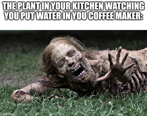 Yes, I drink coffee | THE PLANT IN YOUR KITCHEN WATCHING YOU PUT WATER IN YOU COFFEE MAKER: | image tagged in walking dead zombie,oh wow are you actually reading these tags | made w/ Imgflip meme maker