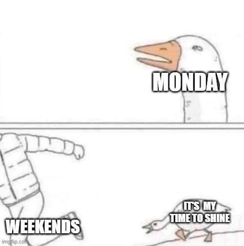 weekends | MONDAY; IT'S  MY TIME TO SHINE; WEEKENDS | image tagged in goose chase | made w/ Imgflip meme maker