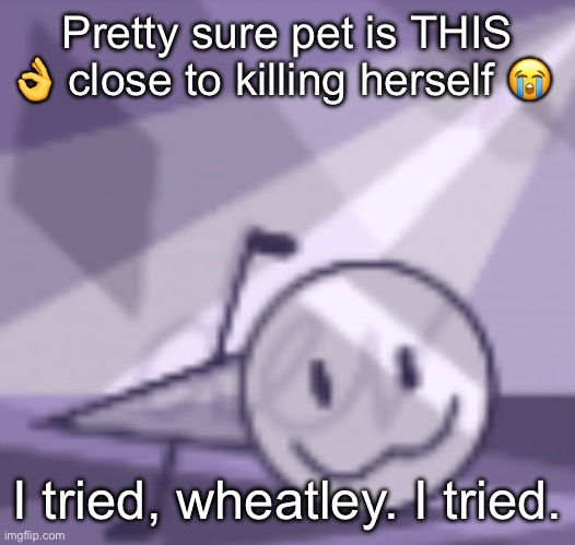 goober v2 | Pretty sure pet is THIS 👌 close to killing herself 😭; I tried, wheatley. I tried. | image tagged in goober v2 | made w/ Imgflip meme maker