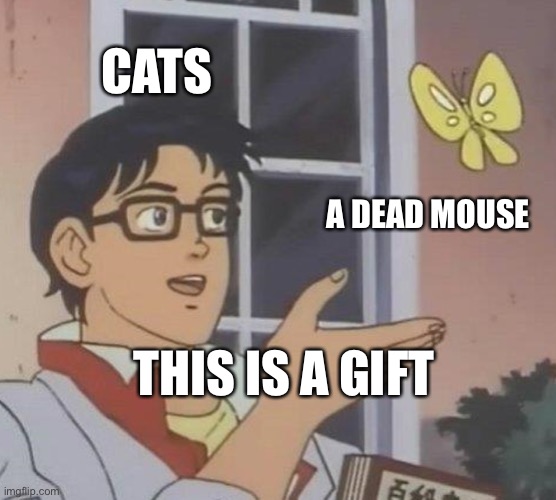 Is This A Pigeon | CATS; A DEAD MOUSE; THIS IS A GIFT | image tagged in memes,is this a pigeon | made w/ Imgflip meme maker