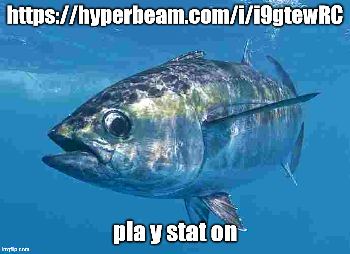 https://hyperbeam.com/i/i9gtewRC | https://hyperbeam.com/i/i9gtewRC; pla y stat on | image tagged in tuma fibsh | made w/ Imgflip meme maker