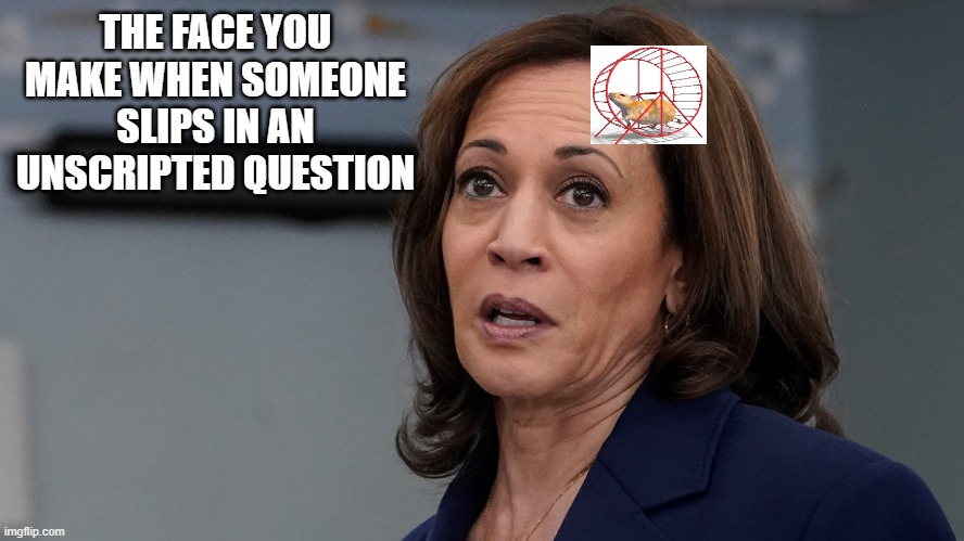 I think her hamster died.. | THE FACE YOU MAKE WHEN SOMEONE SLIPS IN AN UNSCRIPTED QUESTION | image tagged in stupid liberals,funny memes,political meme,political humor,donald trump approves | made w/ Imgflip meme maker