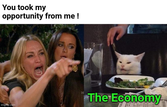 Woman Yelling At Cat Meme | You took my opportunity from me ! The Economy | image tagged in memes,woman yelling at cat | made w/ Imgflip meme maker