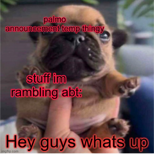 Pug temp | Hey guys whats up | image tagged in pug temp | made w/ Imgflip meme maker
