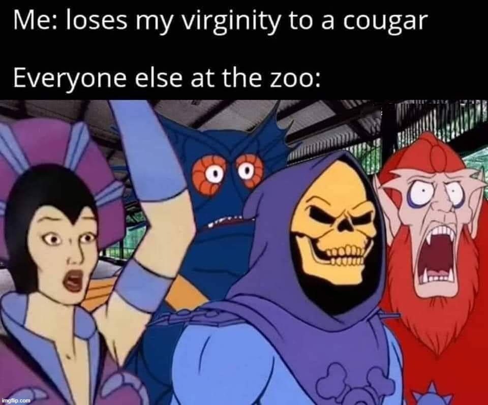 Cougar town | image tagged in shocked | made w/ Imgflip meme maker