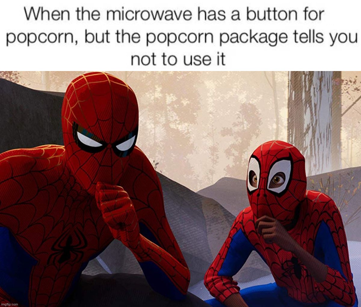 Why do they do that? | image tagged in learning from spiderman | made w/ Imgflip meme maker