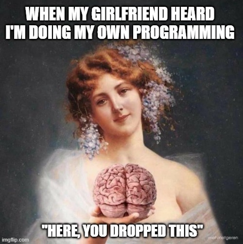 people when you tell them you do your own programming | WHEN MY GIRLFRIEND HEARD
I'M DOING MY OWN PROGRAMMING; "HERE, YOU DROPPED THIS" | image tagged in here' you dropped this | made w/ Imgflip meme maker