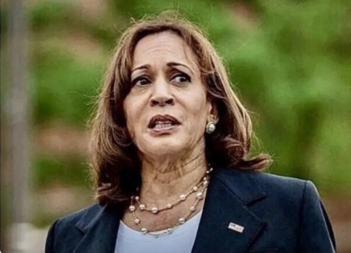 kamala harris Blank Meme Template