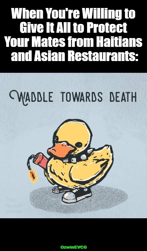 Dedicated Ducklings | When You're Willing to 

Give It All to Protect 

Your Mates from Haitians 

and Asian Restaurants:; OzwinEVCG | image tagged in dark humour,animals,suicide bomber,haitian,food,asians | made w/ Imgflip meme maker