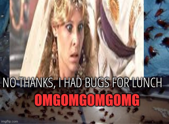 Bugs For Lunch? | NO THANKS, I HAD BUGS FOR LUNCH; OMGOMGOMGOMG | image tagged in roaches | made w/ Imgflip meme maker