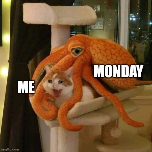 MONDAY; ME | image tagged in monday | made w/ Imgflip meme maker