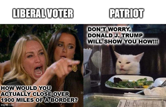 Kamala voters vs. Trump voters | LIBERAL VOTER; PATRIOT; DON'T WORRY, DONALD J. TRUMP WILL SHOW YOU HOW!!! HOW WOULD YOU ACTUALLY CLOSE OVER 1900 MILES OF A BORDER? | image tagged in memes,woman yelling at cat,democrat,republican,trump,kamala harris | made w/ Imgflip meme maker