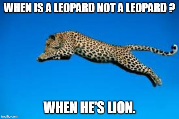 memes by Brad - When is a leopard not a leopard? - cats - | WHEN IS A LEOPARD NOT A LEOPARD ? WHEN HE'S LION. | image tagged in funny,cats,kittens,leopard,lion,humor | made w/ Imgflip meme maker