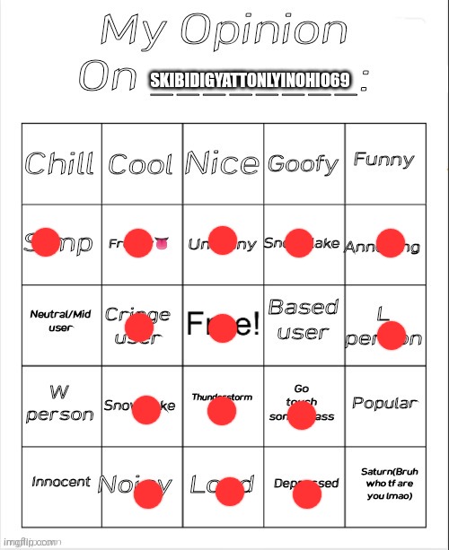 My Opinion On ________: Bingo by Andika V2 | SKIBIDIGYATTONLYINOHIO69 | image tagged in remake my opinion on ________ bingo by andika | made w/ Imgflip meme maker