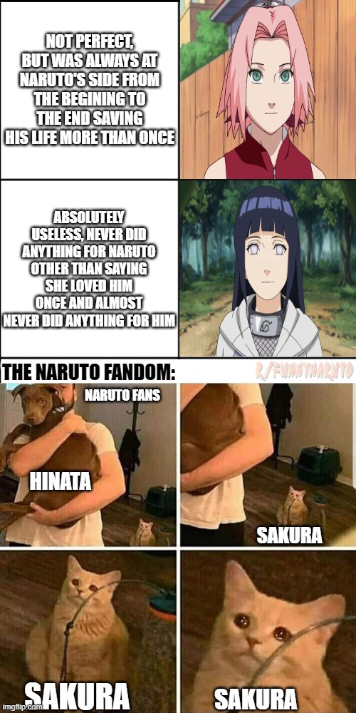 Not fair to Sakura | image tagged in naruto,sakura,hinata,unfair | made w/ Imgflip meme maker