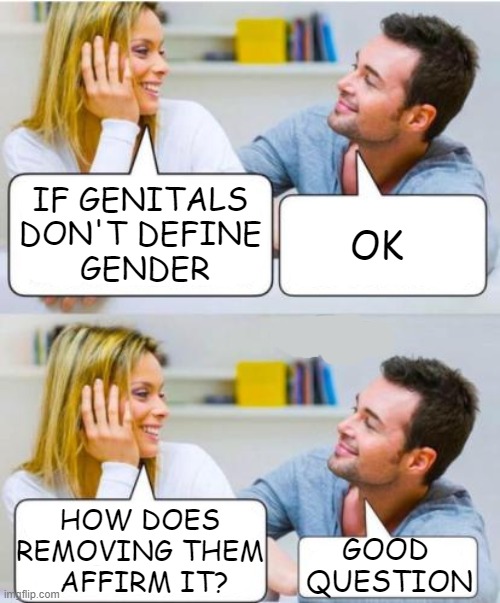 Deep Thinkers Only | IF GENITALS 
DON'T DEFINE 
GENDER; OK; HOW DOES 
REMOVING THEM 
AFFIRM IT? GOOD 
QUESTION | image tagged in he said she said,genitals,gender,gender identity,gender confusion,rachel levine cannot answer that question | made w/ Imgflip meme maker