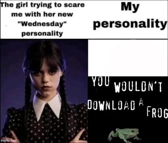 The girl trying to scare me with her new Wednesday personality | image tagged in the girl trying to scare me with her new wednesday personality | made w/ Imgflip meme maker