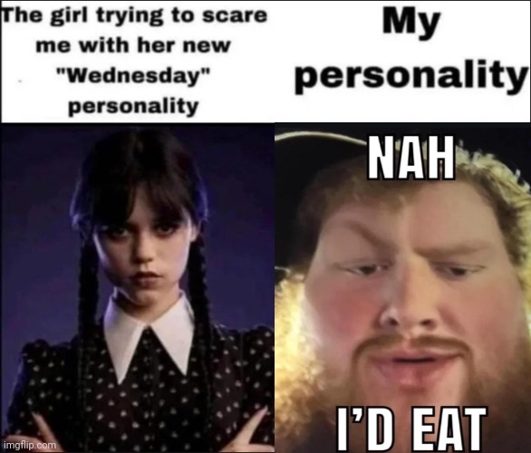 The girl trying to scare me with her new Wednesday personality | image tagged in the girl trying to scare me with her new wednesday personality | made w/ Imgflip meme maker