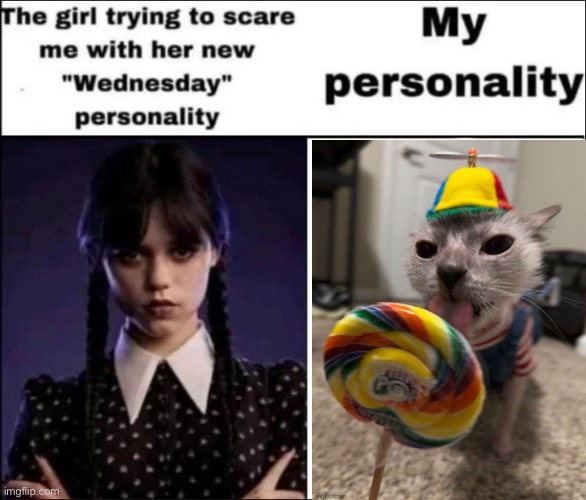 The girl trying to scare me with her new Wednesday personality | image tagged in the girl trying to scare me with her new wednesday personality | made w/ Imgflip meme maker