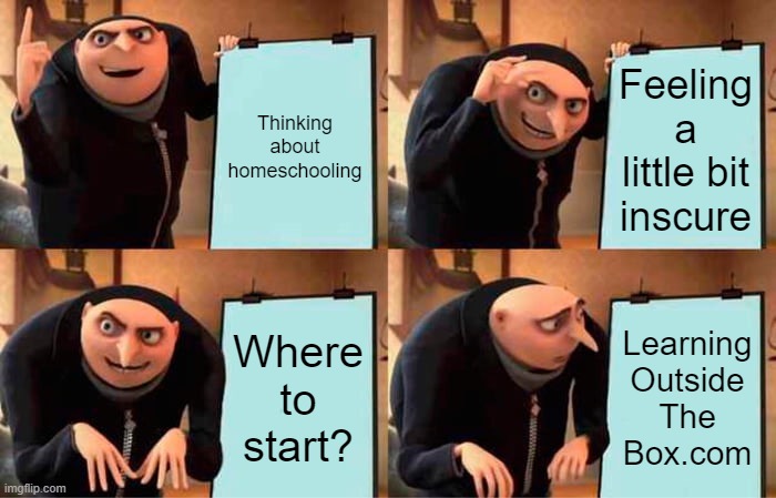 Gru's Plan Meme | Thinking about homeschooling; Feeling a little bit inscure; Where to start? Learning
Outside
The
Box.com | image tagged in memes,gru's plan | made w/ Imgflip meme maker