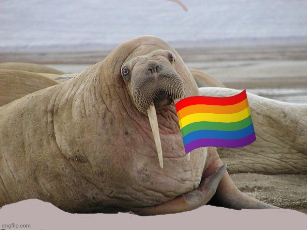 gay walrus jumpscare | made w/ Imgflip meme maker