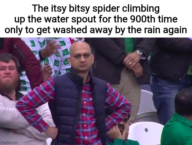 Spidyphus | The itsy bitsy spider climbing up the water spout for the 900th time only to get washed away by the rain again | image tagged in disappointed muhammad sarim akhtar,memes,funny,nursery rhymes,spiders | made w/ Imgflip meme maker