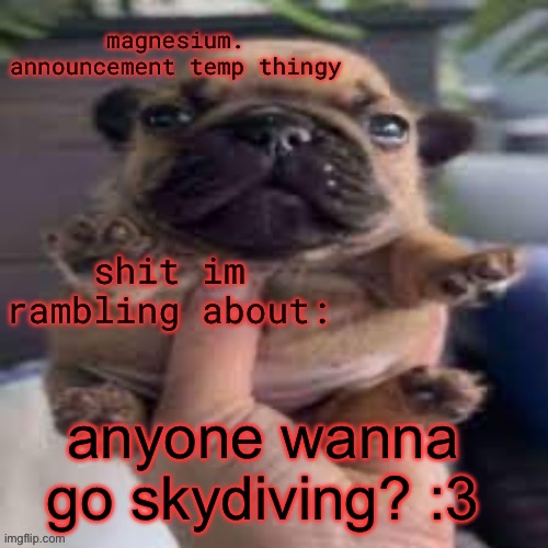 pug temp | anyone wanna go skydiving? :3 | image tagged in pug temp | made w/ Imgflip meme maker
