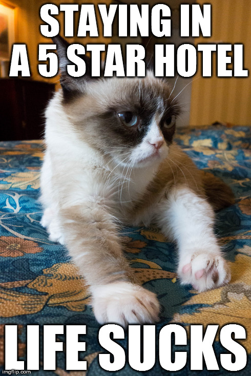 5 star hotel | STAYING IN A 5 STAR HOTEL LIFE SUCKS | image tagged in grumpy cat,memes,hilarious | made w/ Imgflip meme maker