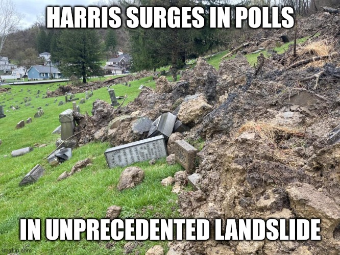 This joke never dies.. because it's sadly not really a joke. | HARRIS SURGES IN POLLS; IN UNPRECEDENTED LANDSLIDE | image tagged in graveyard landslide,democrats,voting,polls | made w/ Imgflip meme maker