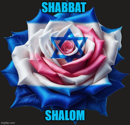 Shabbat Shalom | SHABBAT; SHALOM | image tagged in rose | made w/ Imgflip meme maker