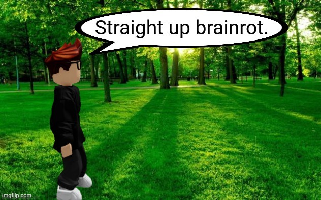 MC straight up brainrot Roblox remake | image tagged in mc straight up brainrot roblox remake | made w/ Imgflip meme maker