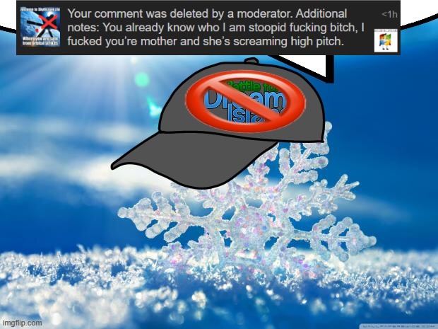 dumbasses at their finest | image tagged in anti-bfdi snowflake speech bubble | made w/ Imgflip meme maker