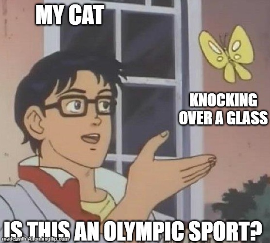 bruh | MY CAT; KNOCKING OVER A GLASS; IS THIS AN OLYMPIC SPORT? | image tagged in is this butterfly | made w/ Imgflip meme maker