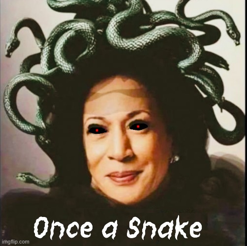 Medusa's Evil Lives on Thru Kamala | image tagged in vince vance,kamala harris,medusa,memes,stupid liberals,snakes | made w/ Imgflip meme maker