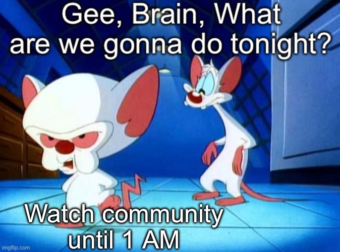 Gee brain | Watch community until 1 AM | image tagged in gee brain | made w/ Imgflip meme maker