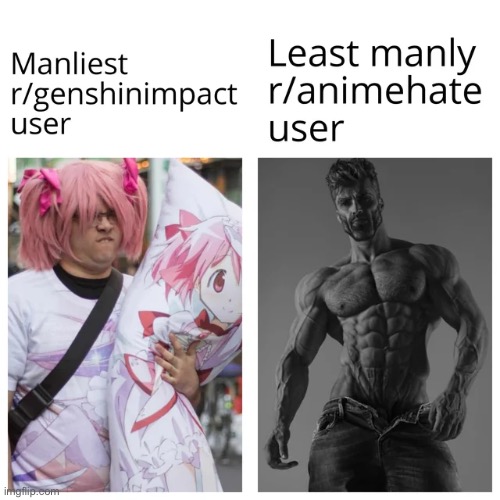 R/animehate archive | image tagged in archive,genshin impact,reddit | made w/ Imgflip meme maker