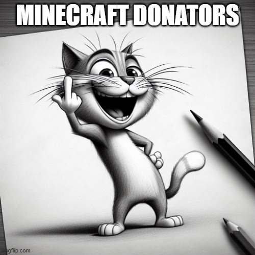 tttttttt | MINECRAFT DONATORS | image tagged in jay the flipping off cat | made w/ Imgflip meme maker