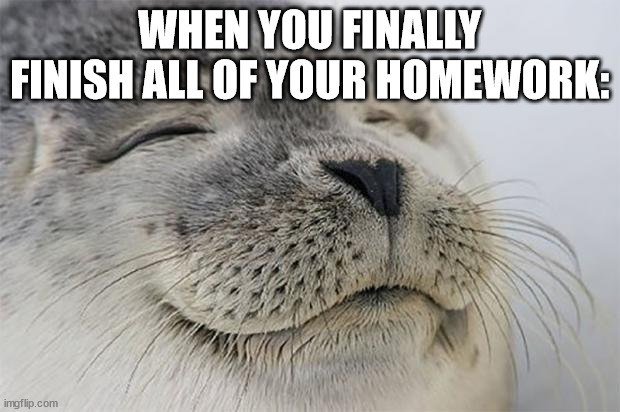 Satisfied Seal Meme | WHEN YOU FINALLY FINISH ALL OF YOUR HOMEWORK: | image tagged in memes,satisfied seal | made w/ Imgflip meme maker