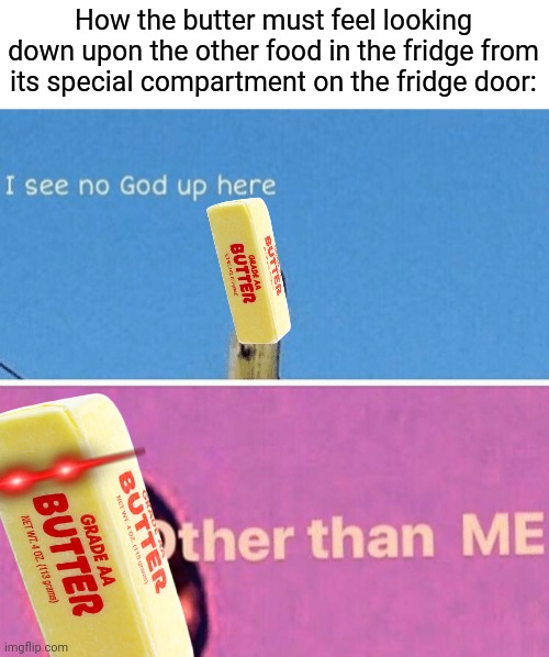 Food meme | How the butter must feel looking down upon the other food in the fridge from its special compartment on the fridge door: | image tagged in hail pole cat | made w/ Imgflip meme maker