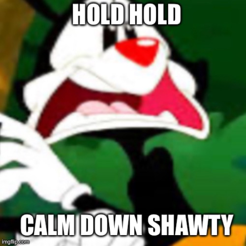 Hold hold calm down shawty | image tagged in hold hold calm down shawty | made w/ Imgflip meme maker