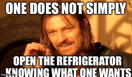 One Does Not Simply Meme | ONE DOES NOT SIMPLY OPEN THE REFRIGERATOR KNOWING WHAT ONE WANTS | image tagged in memes,one does not simply | made w/ Imgflip meme maker