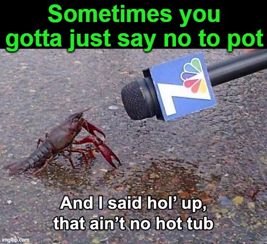 Interview With a Lobster | Sometimes you gotta just say no to pot | image tagged in funny memes,lobster | made w/ Imgflip meme maker