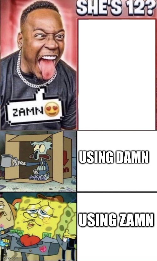 Zamn | USING DAMN; USING ZAMN | image tagged in zamn | made w/ Imgflip meme maker