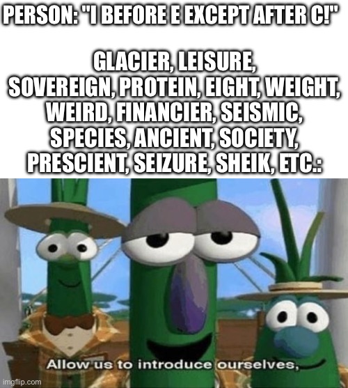 You would not believe your eyes. | GLACIER, LEISURE, SOVEREIGN, PROTEIN, EIGHT, WEIGHT, WEIRD, FINANCIER, SEISMIC, SPECIES, ANCIENT, SOCIETY, PRESCIENT, SEIZURE, SHEIK, ETC.:; PERSON: "I BEFORE E EXCEPT AFTER C!" | image tagged in allow us to introduce ourselves,english is weird,bad language,incorrect,spelling error,big tugg | made w/ Imgflip meme maker