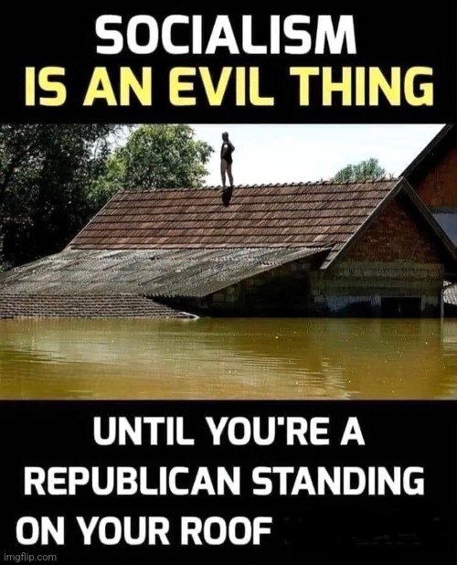 Socialism | image tagged in socialism  stupidity | made w/ Imgflip meme maker