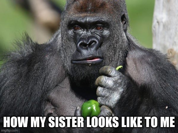 Siblings... | HOW MY SISTER LOOKS LIKE TO ME | image tagged in siblings,insult,funny memes | made w/ Imgflip meme maker