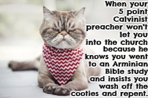 Arminian Cooties | When your 5 point Calvinist preacher won't let you into the church; because he knows you went to an Arminian Bible study and insists you wash off the cooties and repent. | image tagged in calvinism,arminian,molinist,cooties,you have sinned child prepare to feel the sweet embrace of death,pharisees | made w/ Imgflip meme maker