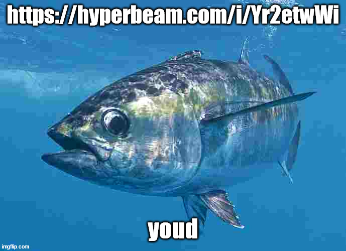 https://hyperbeam.com/i/Yr2etwWi | https://hyperbeam.com/i/Yr2etwWi; youd | image tagged in tuma fibsh | made w/ Imgflip meme maker