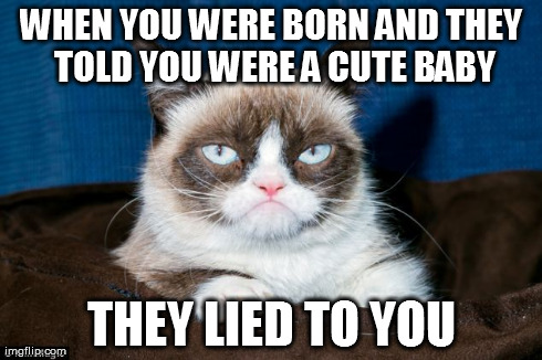 They lied to you | WHEN YOU WERE BORN AND THEY TOLD YOU WERE A CUTE BABY THEY LIED TO YOU | image tagged in grumpy cat,memes | made w/ Imgflip meme maker